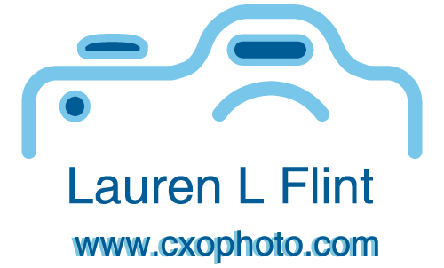 LaurenLFlint logo